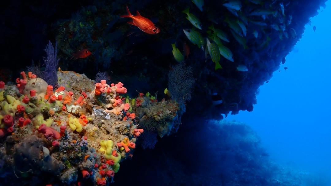 Photo of Others in Dhigurah