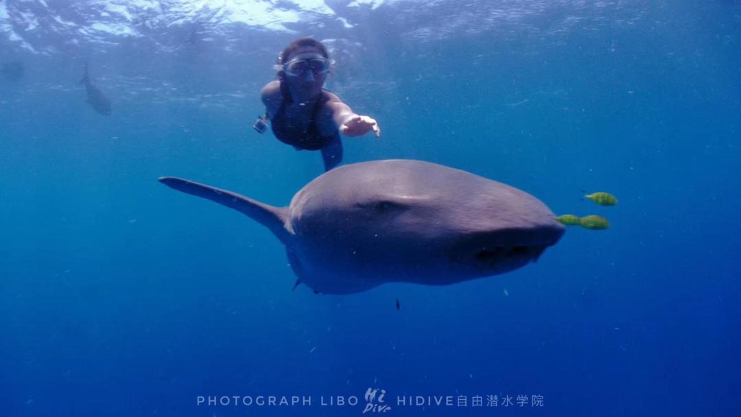 Photo of Others in Dhigurah