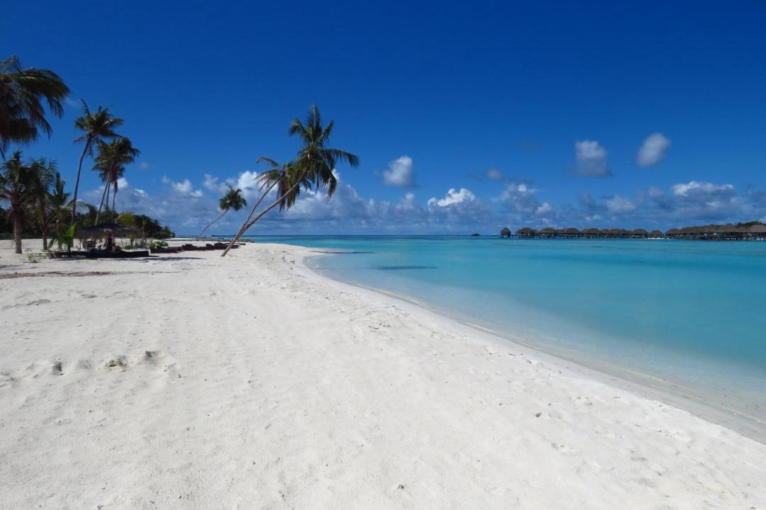 Photo of Others in Huraa