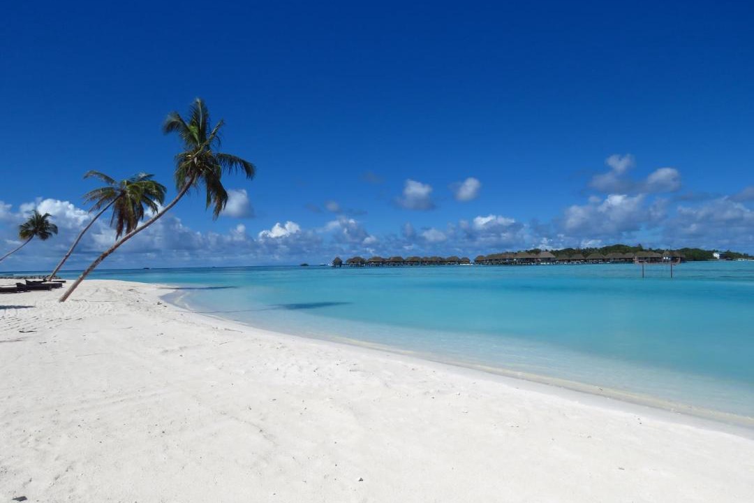 Photo of Others in Huraa