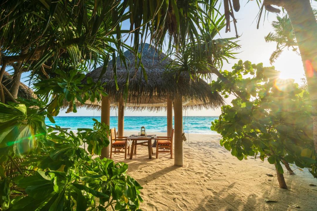 Photo of Others in Milaidhoo Island