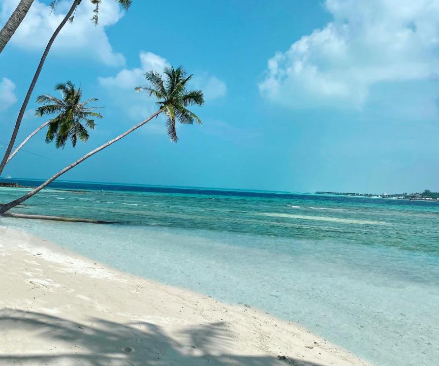Photo of Others in Thulusdhoo Island