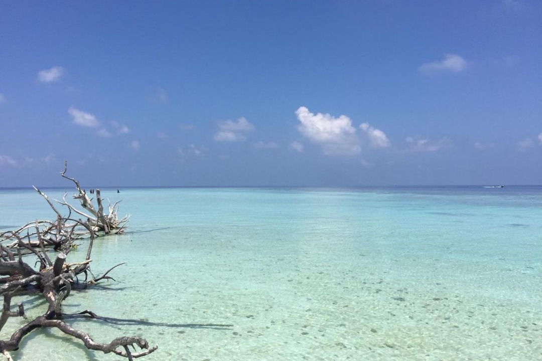 Photo of Others in Omadhoo