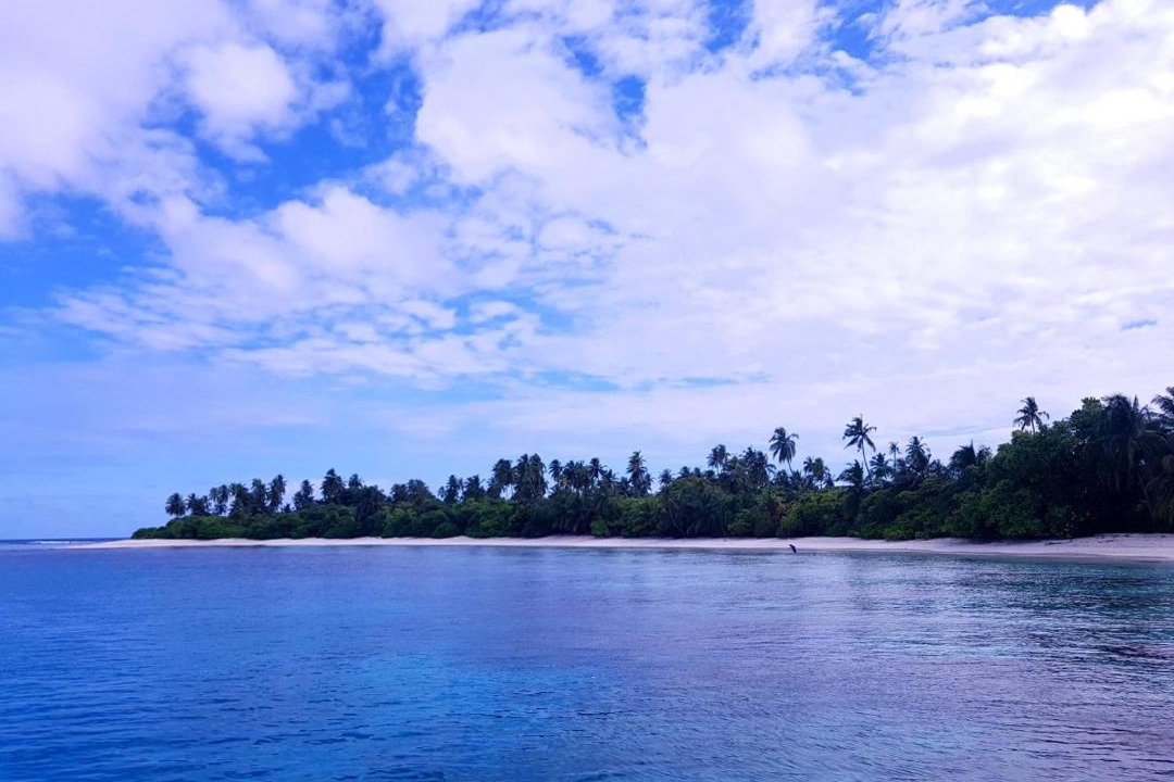 Photo of Others in Thimarafushi