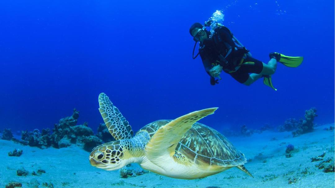 Photo of Others in Olhuveli