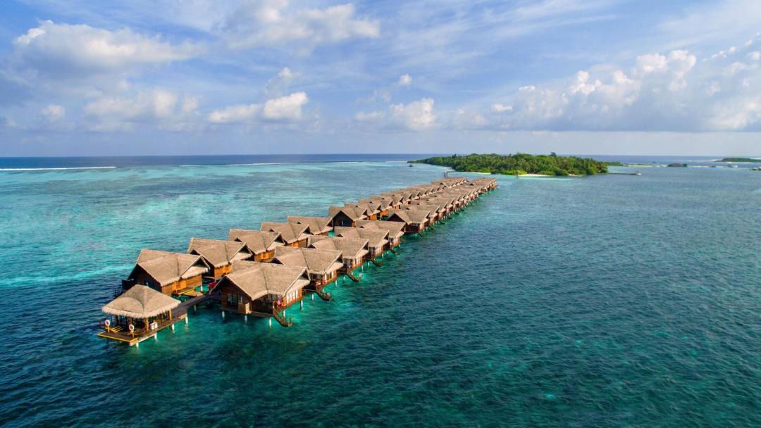 Photo of Others in Lhohifushi