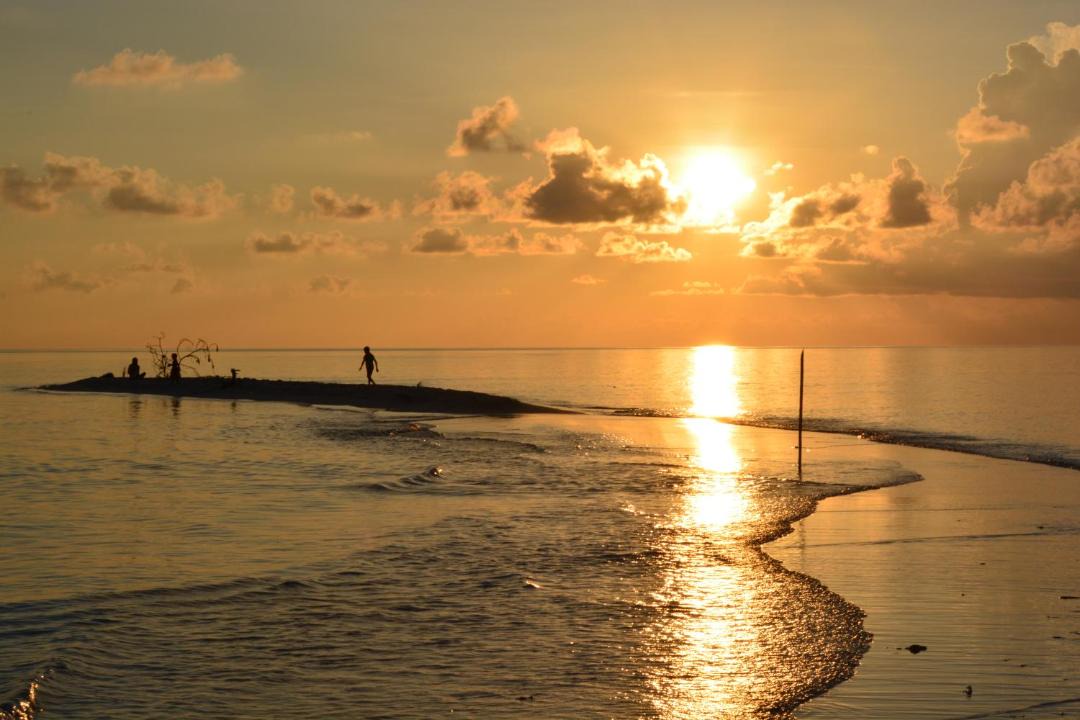 Photo of Others in Omadhoo