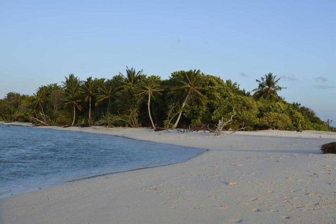 Photo of Others in Omadhoo