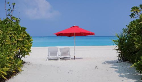 Deluxe Beach Bungalow - Beachfront (10% off on Spa Services, 15% off on Excursions & Free Early Check-In on Availability Basis)