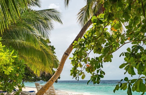 Dharavandhoo Hotel | LVIS blancura