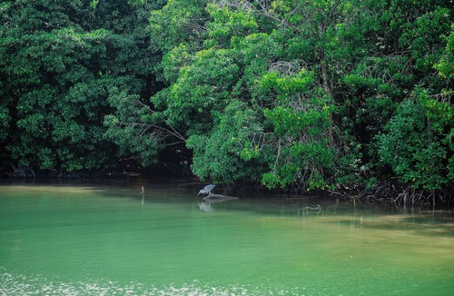 Huraa House | Wish Heaven at Huraa
