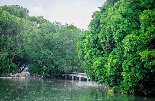 Huraa House | Wish Heaven at Huraa
