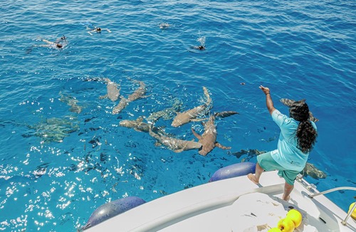 Fulidhoo Hotel | Kinan Sentral Maldives