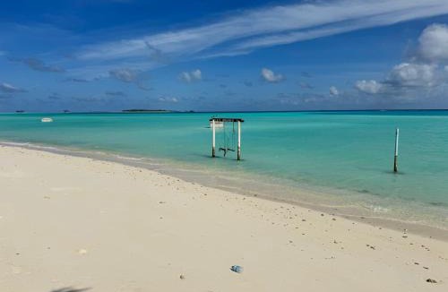 Maamigili Bed & Breakfast | Whalesharkview