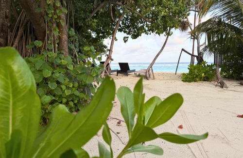 Rasdhoo House | Arena Blanca