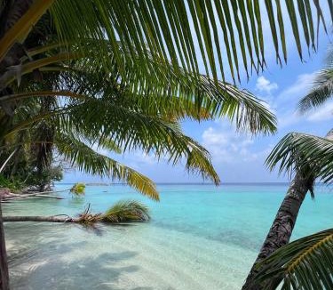 Niyama Hotel | Villa Buruni Maldives Beach