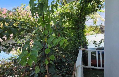 Dhangethi House | fehivilla resistance