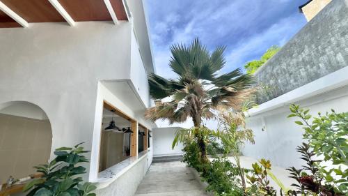 Felidhoo Hotel | Kawaii Stay Maldives