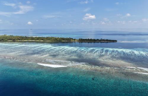 Dhidhdhoo Hotel | Alma Maldiva, Beach Hotel