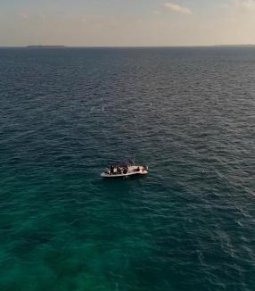 Dharavandhoo Villa | Anam Villa Maldives
