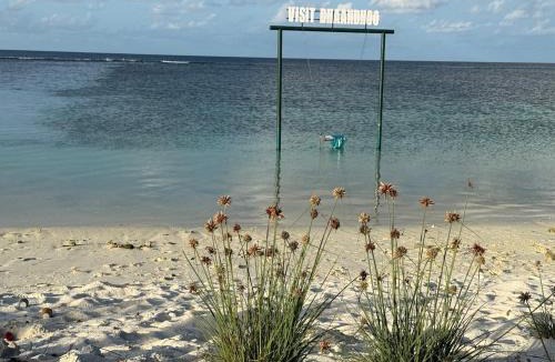 Dhaandhoo Apartment | Daisy Stay Dhaandhoo