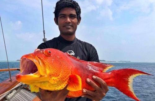 Manadhoo Hotel | Sunny Day Inn Maldives