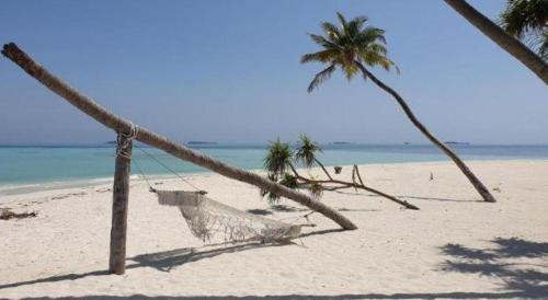 Dhangethi Hotel | PERLA Dhangethi