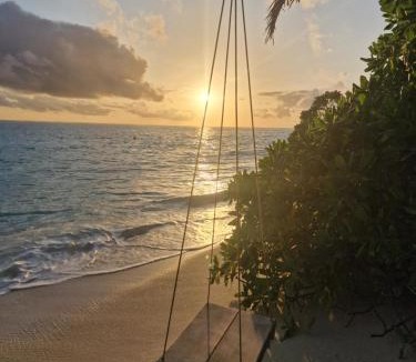Thoddoo Hotel | Ocean Vida Maldivas
