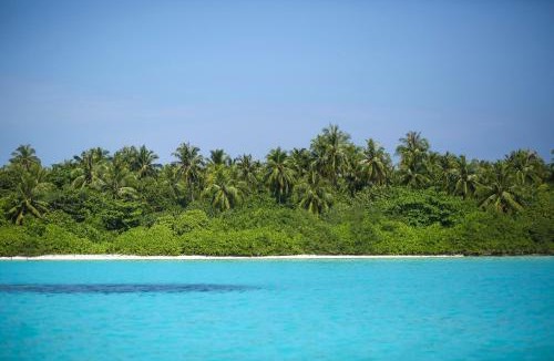 Haa Alifu Atoll House | Filladhoo inn