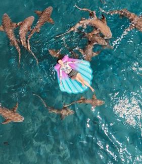 Mahibadhoo Hotel | Raalhu Fonu Maldives