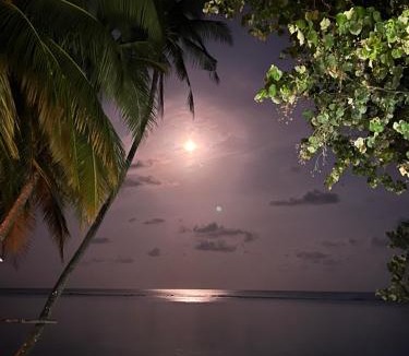 Dhidhdhoo Hotel | Alma Maldiva, Beach Hotel