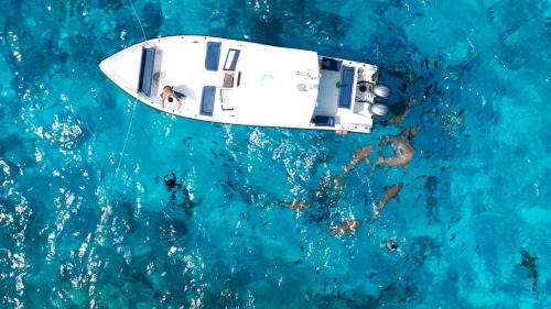 Guraidhoo Hotel | h78 Guraidhoo