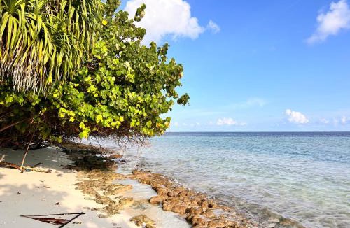 Feridhoo House | Asaa View Maldives