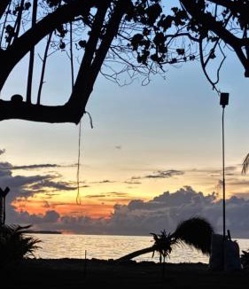 Dhiffushi Hotel | VelaaVani - Turtle Hive Dhiffushi