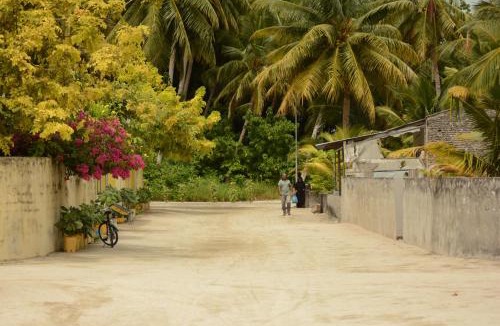 Dharavandhoo Hotel | LVIS blancura Hotel