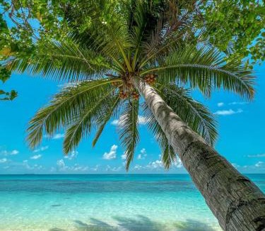Mandhoo Hotel | Infinite Lagoon
