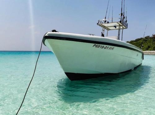 Tropical Lodge in Hanimaadhoo