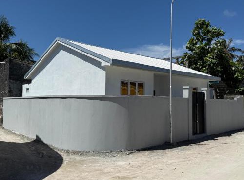 Daisy Stay Dhaandhoo