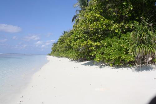 Boutique Beach All Inclusive Diving Hotel