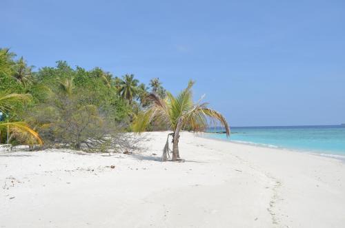 Sunny Day Inn Maldives in Manadhoo